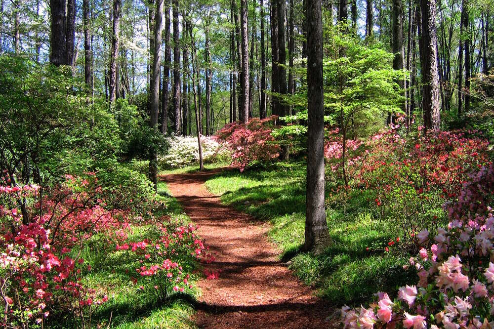 Most Beautiful Places In Georgia Parks Trails More To Visit Now Thrillist