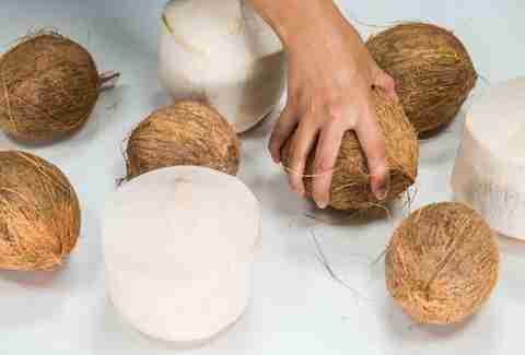 coconuts thrillist