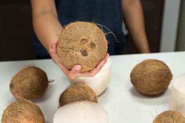 Coconut shell bra- in - Gem