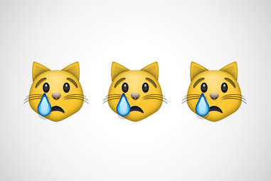 Angry Cat with different emoji – LINE Emoji