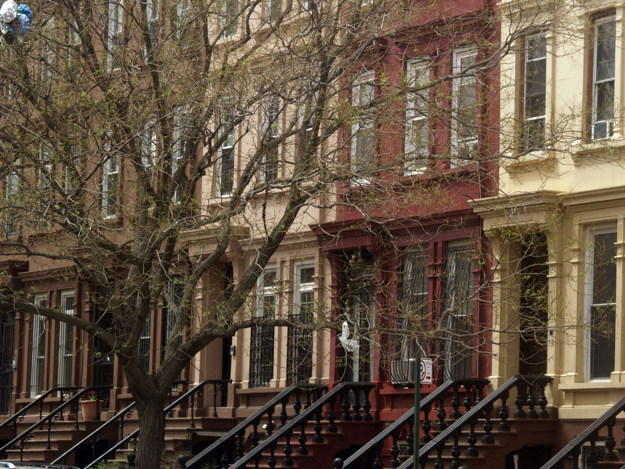 Which NYC Neighborhood Should I Move To - Thrillist