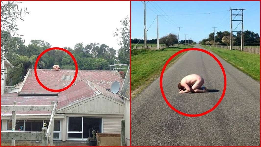 Frozen Chook Pictures People Posing Naked Like Frozen Chicken Internet Meme Thrillist