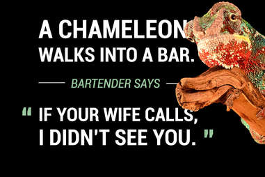 Chameleon Walks Into A Bar Joke