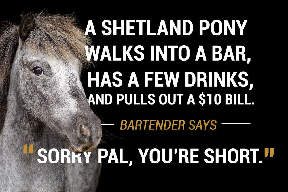 38 Animal Walks Into A Bar Jokes - Thrillist