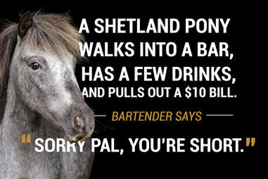 Pony walks into a bar