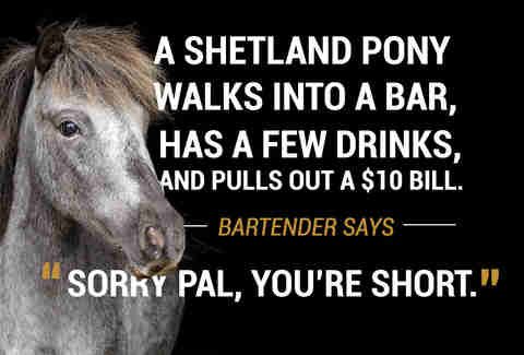 Pony walks into a bar