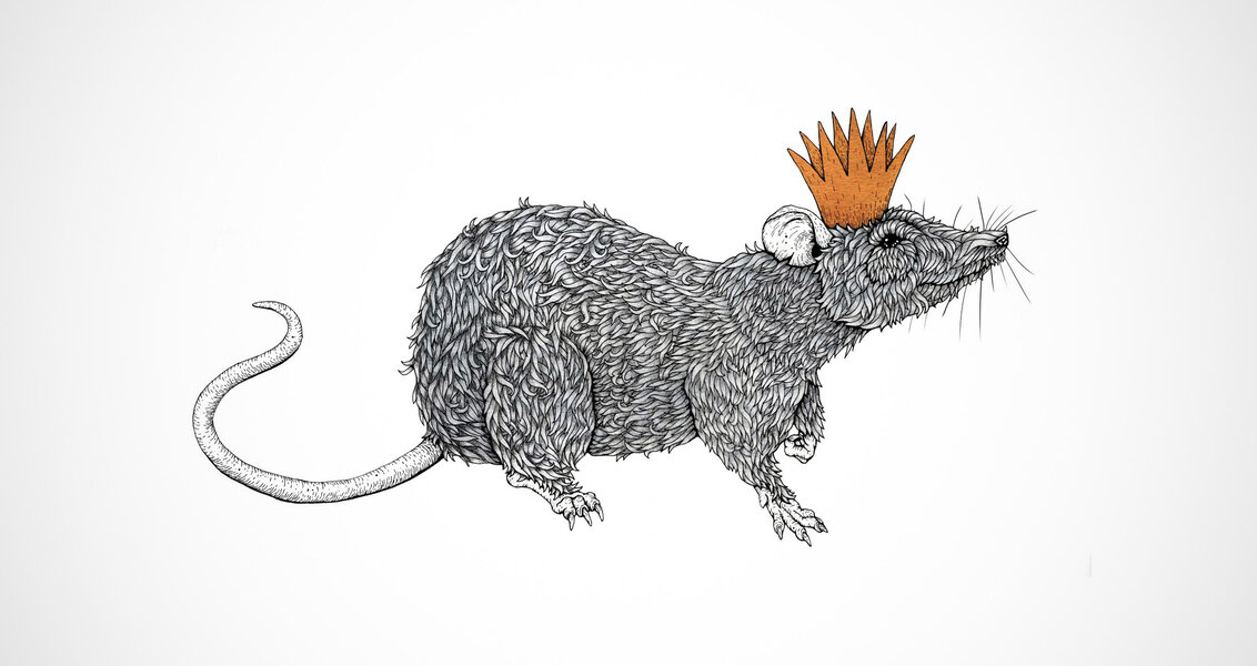 Rat King With Crown Coloring Page