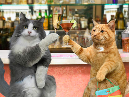 38 Animal Walks Into A Bar Jokes Thrillist