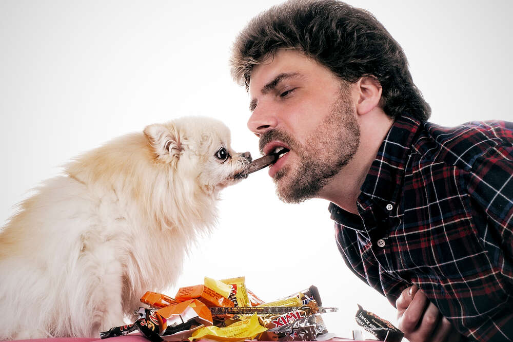 are grapes or chocolate worse for dogs