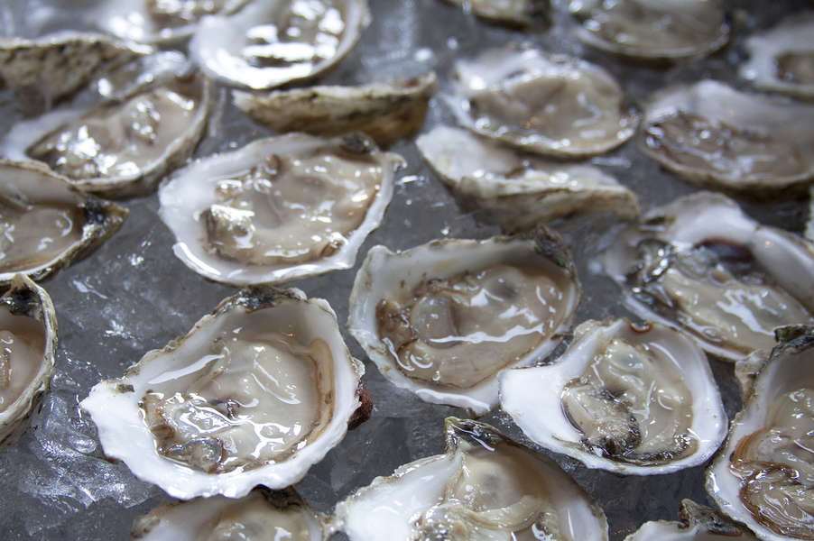 Why Oysters Are Ridiculously Important to the History of New York City Thrillist