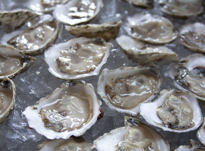 Oyster Shells Are an Antacid to the Oceans - The New York Times
