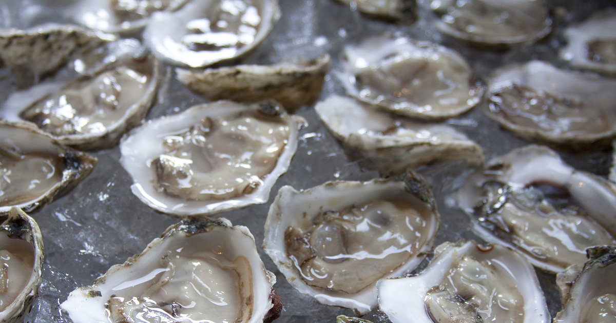 Why Oysters Are Ridiculously Important to the History of New York City