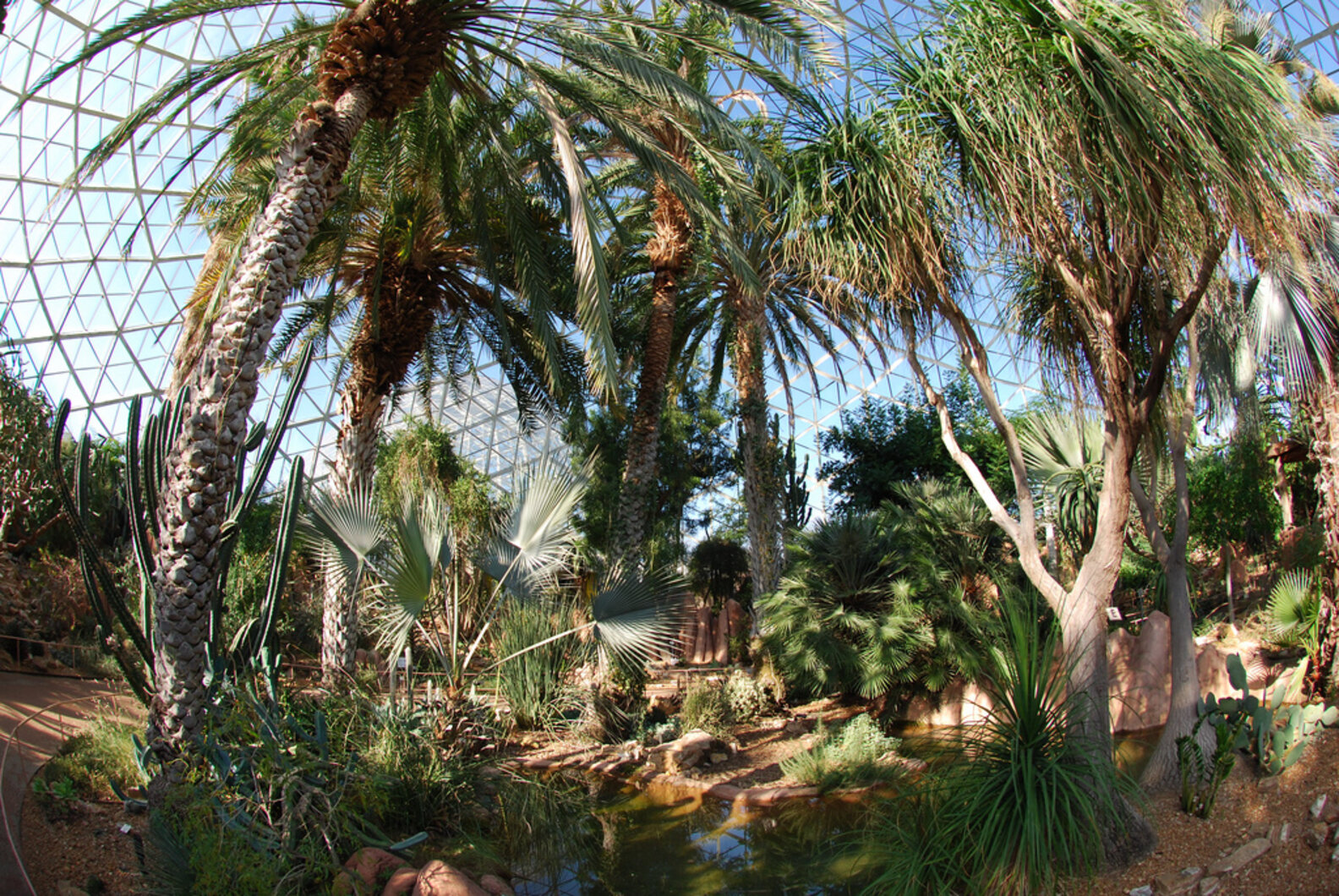 Best Date Ideas in Milwaukee Fun, Romantic Dates for Every Budget