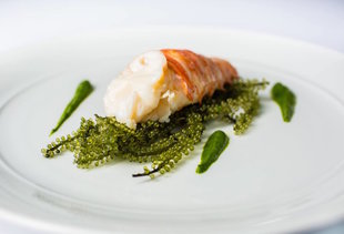 Paris’ Most Important Restaurants