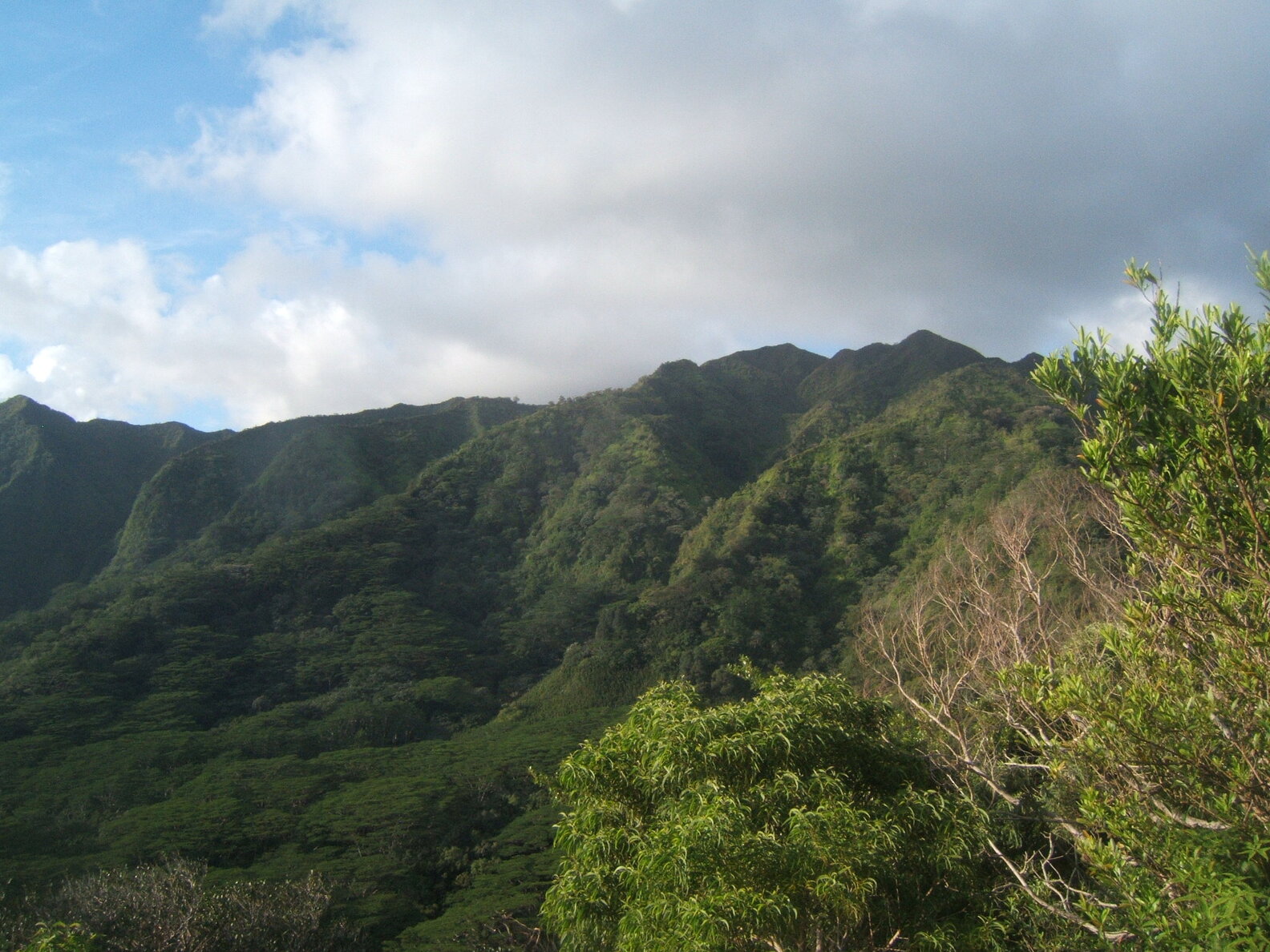Oahu Underrated Hikes 8 Beautiful Hiking Trails in Oahu Thrillist