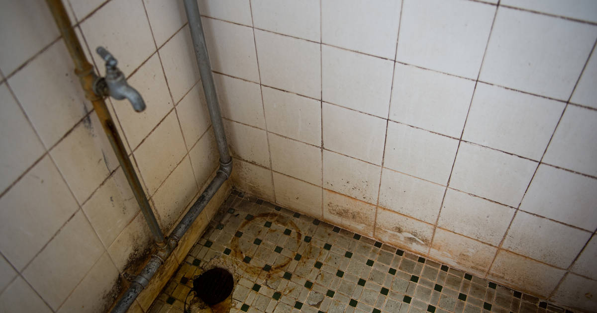 My bar soap lay on a rusty shower caddy, now looks like it has bloody claw  marks : r/mildlyinteresting