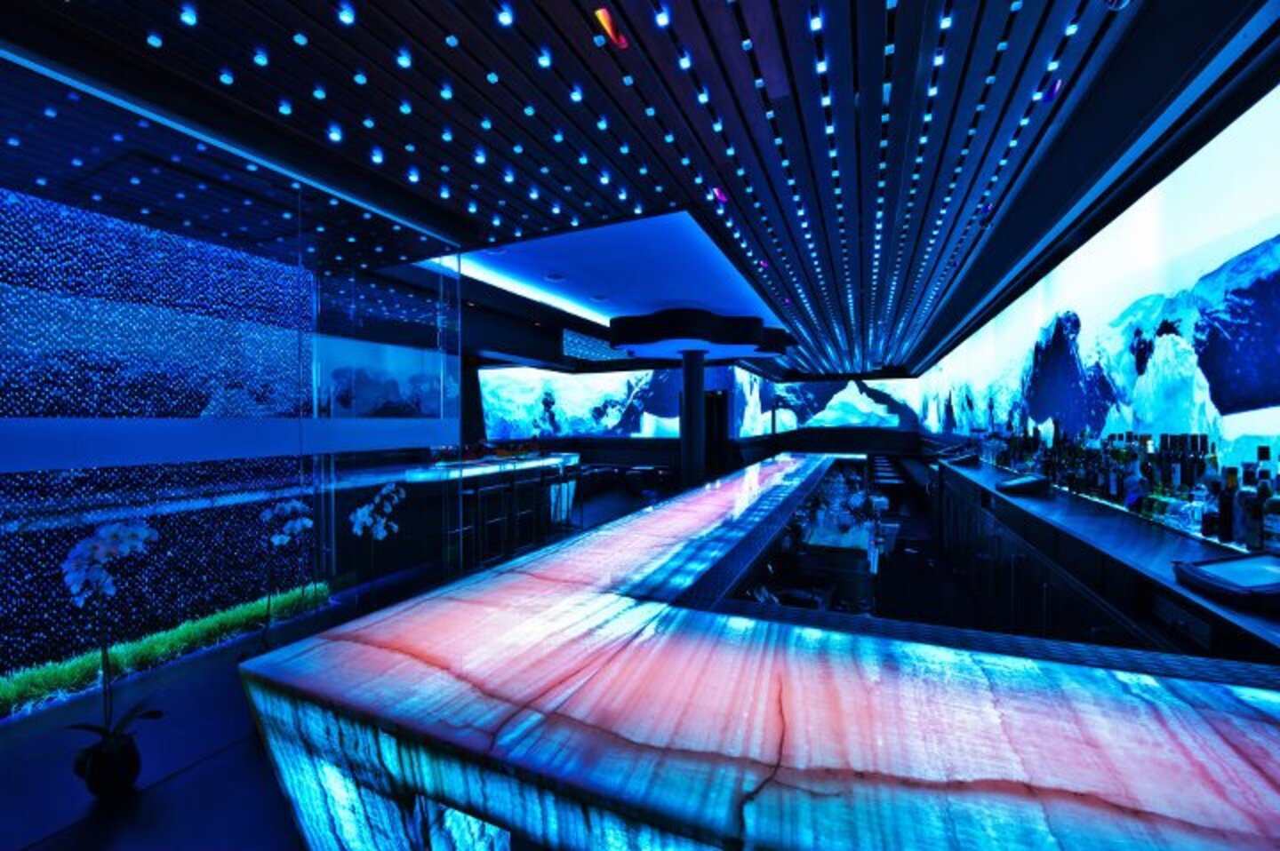 The 13 Most Beautiful Bars in Miami Best Bars South Beach, Brickell