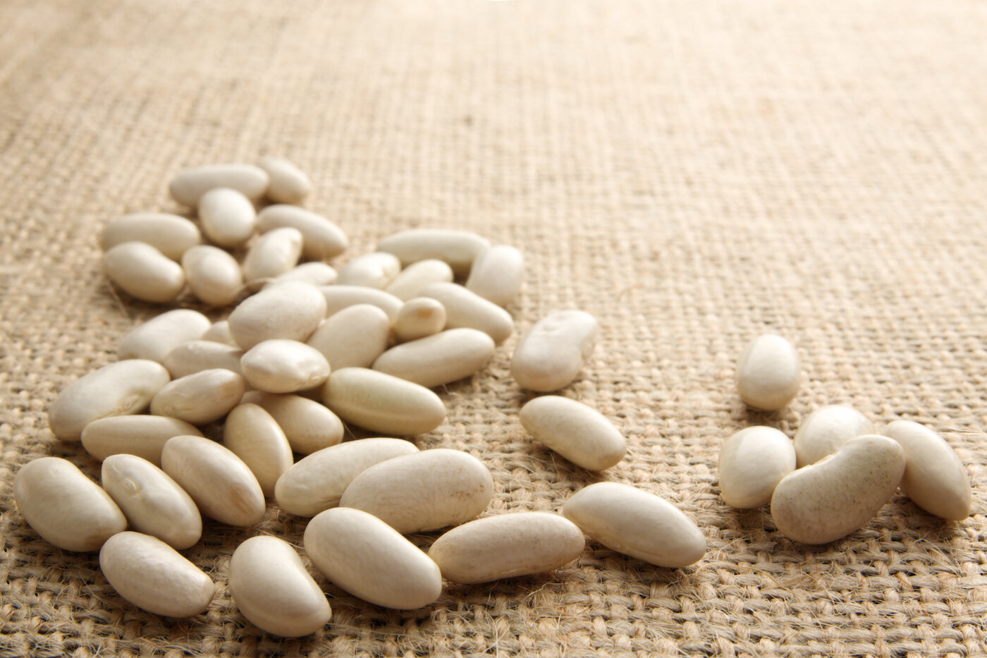 Are Lima Beans Safe For Dogs To Eat