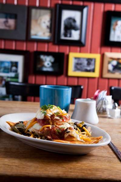 lost-dog-cafe-a-folly-beach-sc-restaurant-thrillist