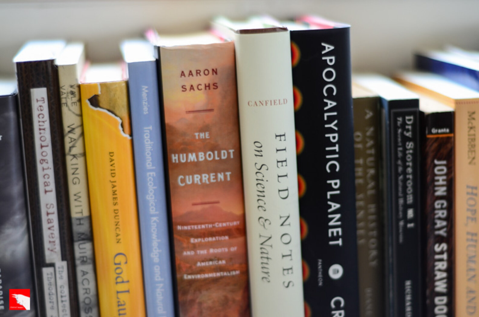 Best Charities to Donate to in Los Angeles Thrillist