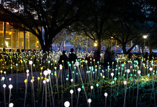 Everything You Absolutely Must Do in Houston This Winter