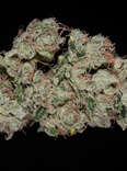 closeup of sour diesel cannabis strain bud