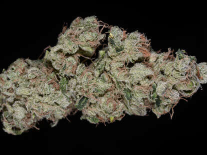 closeup of sour diesel cannabis strain bud