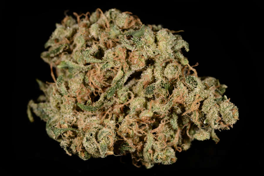 Durban Poison Marijuana Seeds - Queen Seeds