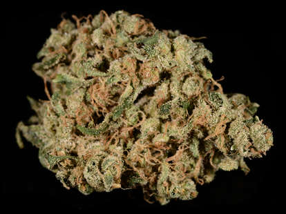 closeup of Durban Poison cannabis strain