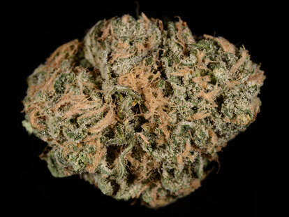 Blue Dream Strain - Blue Dream Weed Strain - PiccoSales Buds