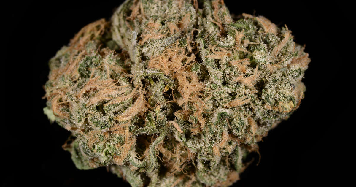Blue Dream Weed Strain Everything You Need to Know Thrillist
