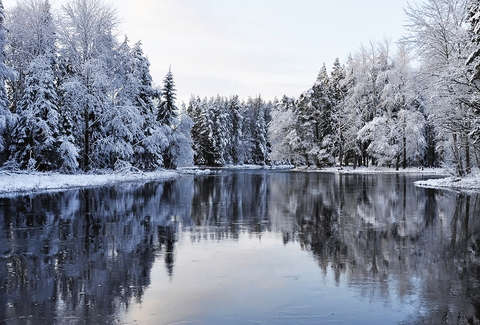 Afbeeldingsresultaat voor Beautiful winter pictures