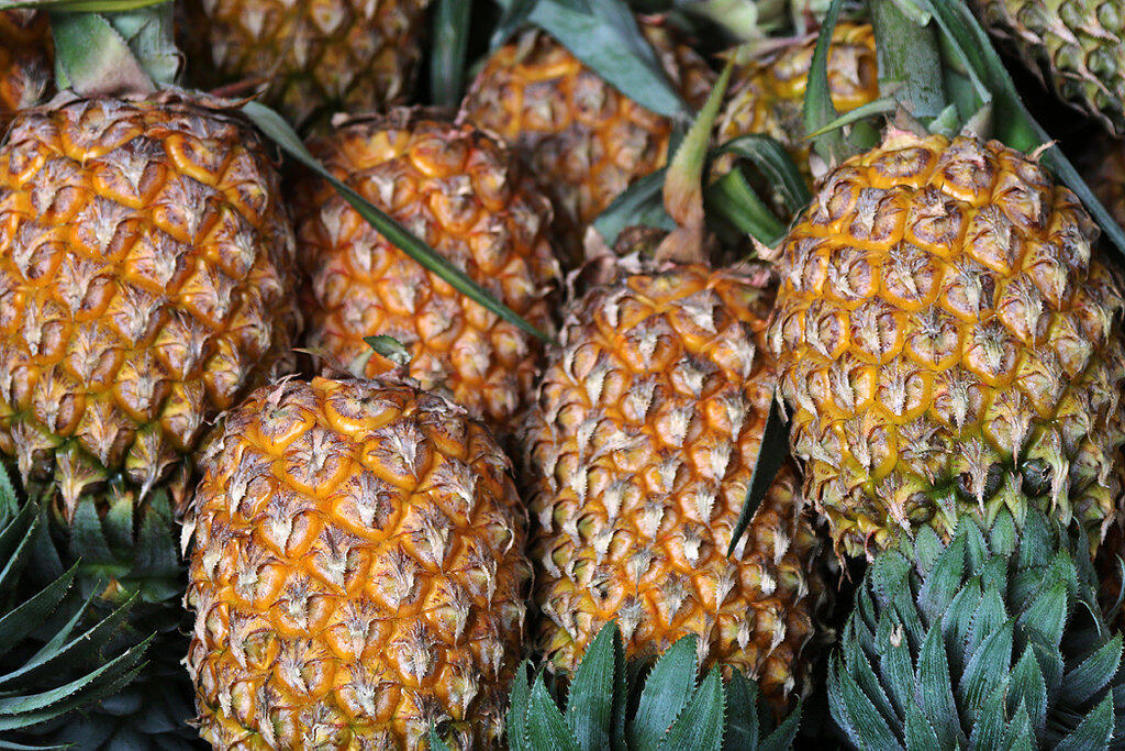 Foods That Are Good For Your Stomach And Digestion Thrillist