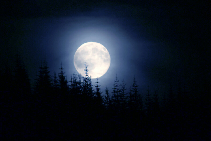 There Will Be a Full Moon on Christmas Thrillist