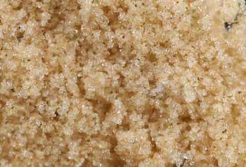 What Is Kief? What to Do With It, and How to Smoke It - Thrillist