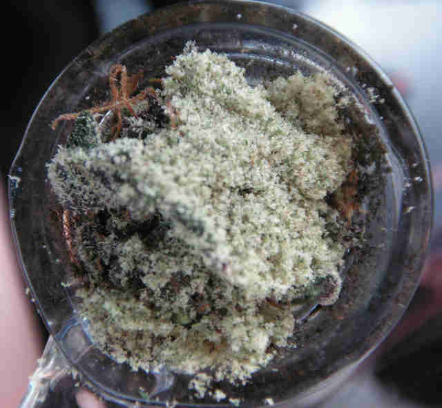 What Is Kief? What to Do With It, and How to Smoke It - Thrillist