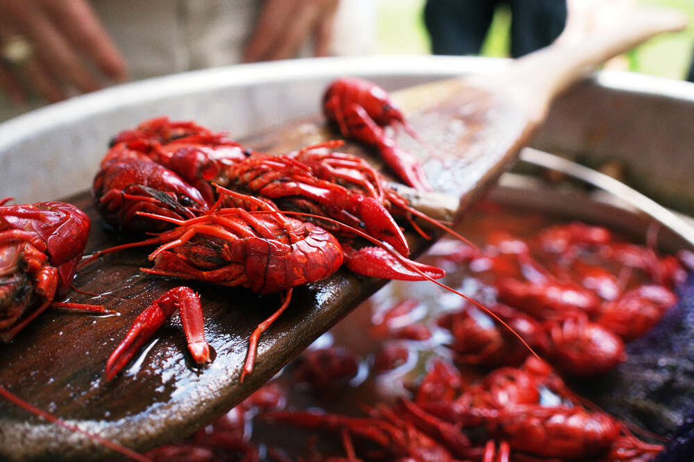 What to Do at a Crawfish Boil - Thrillist