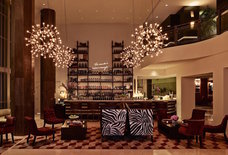 A Local's Guide to South Beach's Best Hotel Bars