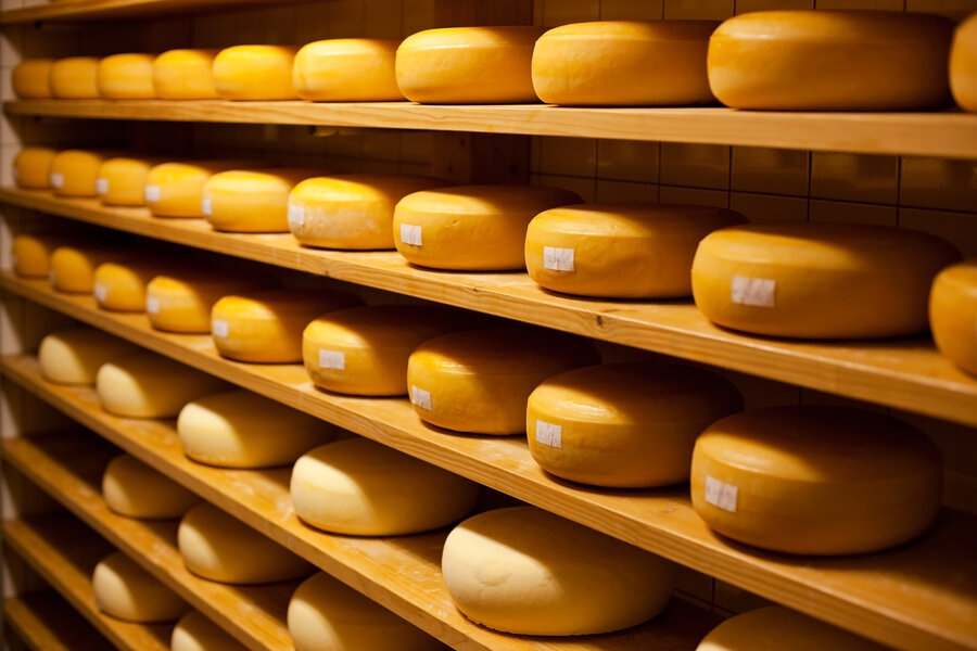 Cheese Might Cure Cancer: Researchers Find Nisin Preservative Fights ...