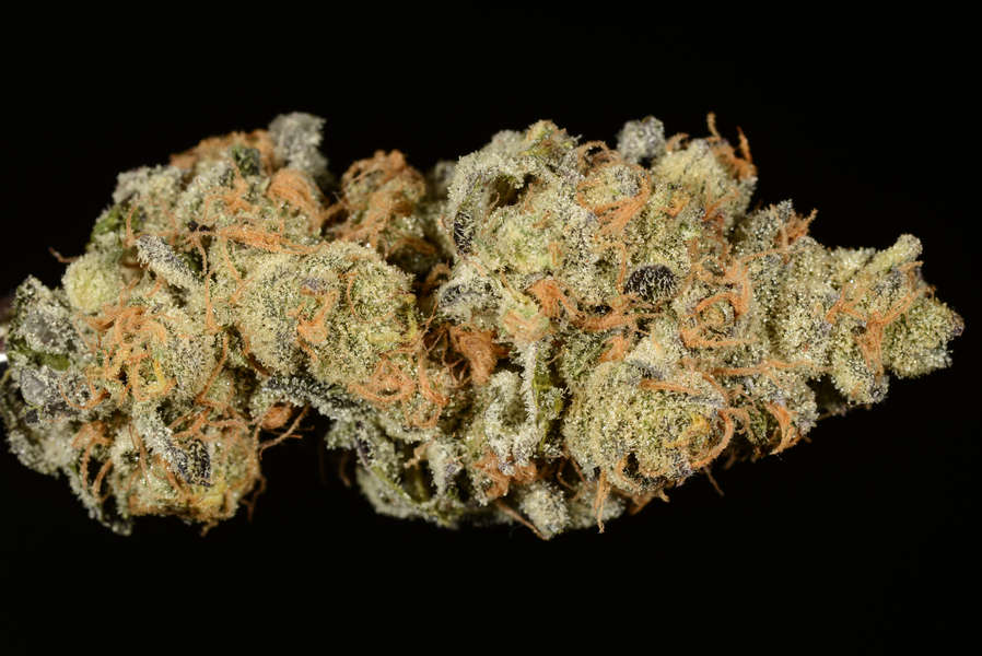 Florida Kush Cannabis Seeds - Marijuana Grow Shop