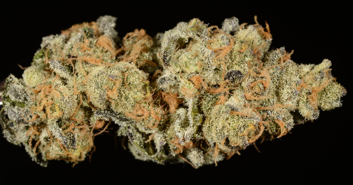 Girl Scout Cookies Weed Strain: Everything You Need to Know - Thrillist