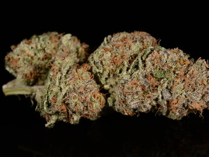 Pineapple Express weed strain, cannabis, trichomes