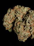 Super Silver Haze weed strain, cannabis, trichomes