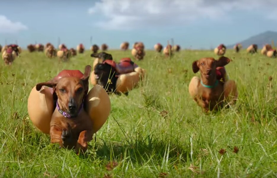 Heinz Super Bowl Commercial Features Stampede of Wiener Dogs Thrillist