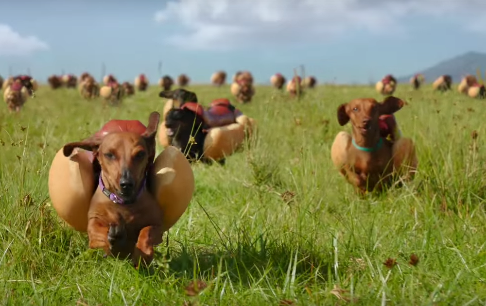 Heinz Super Bowl Commercial Features Stampede of Wiener Dogs