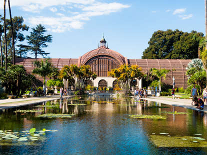 City Officials, Park Supporters Celebrate Repairs To Lily Pond