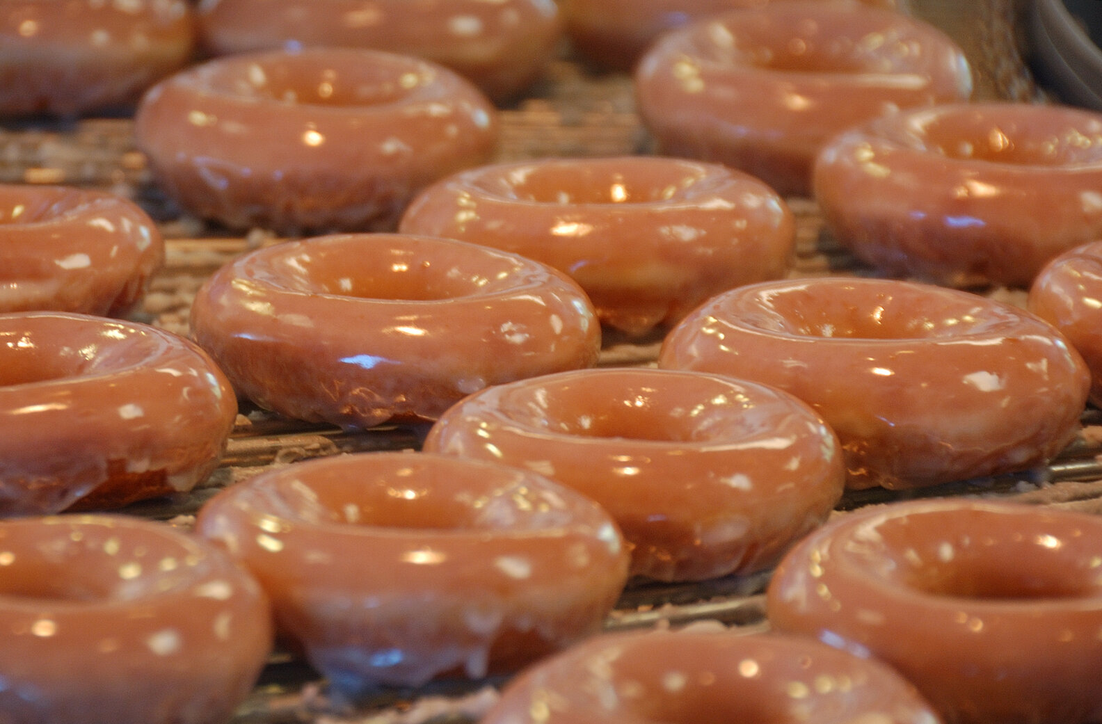 Best Donuts in Charlotte, North Carolina Thrillist