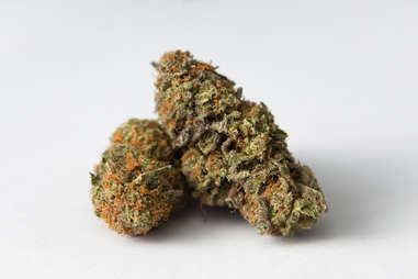 Visual Guide To Cannabis How To Spot Great Weed Thrillist Visual Guide To Cannabis How To Spot Great Weed Thrillist