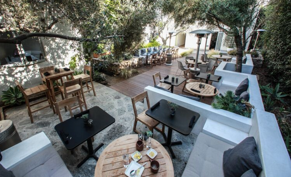 Plant Food and Wine A Restaurant in Venice, CA Thrillist