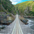 Bridge along the Garden Route in Tsitsikamma National Park, South Africa 